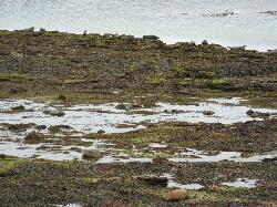 Arainn - Inishmore