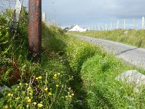 Inishbofin - Inis B Finne
