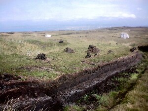 �rainn Mh�ir - turf (peat) cut and stacked to dry