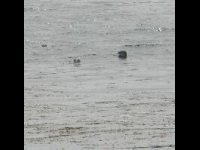 Inishkea South