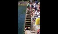 Life saving classes at the North Harbour.