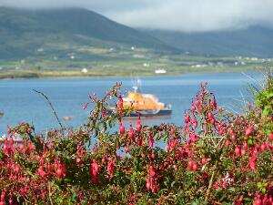 Valentia Island - Oilen Dairbhre
